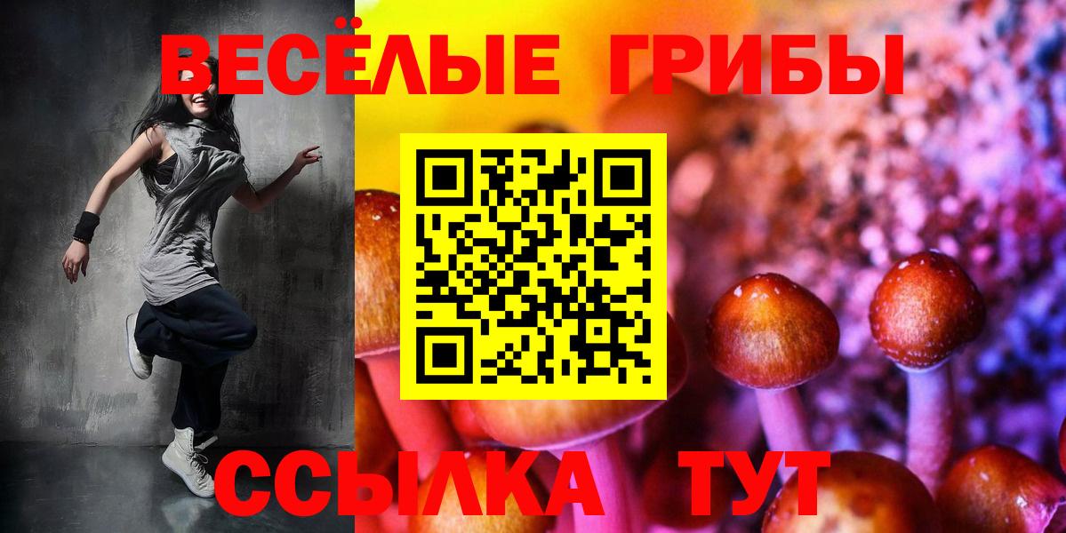 Галлюциногенные грибы прущие грибы Белгород