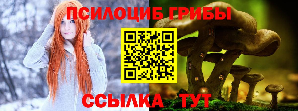 Галлюциногенные грибы прущие грибы  Галлюциногенные грибы Psilocybe  Вход с VPN  наркотики  Белгород 